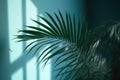 Blurred shadow from palm leaves on the light blue wall. AI generated Royalty Free Stock Photo