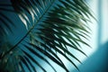 Blurred shadow from palm leaves on the light blue wall. AI generated Royalty Free Stock Photo