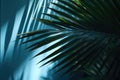 Blurred shadow from palm leaves on the light blue wall. AI generated Royalty Free Stock Photo