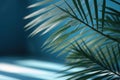 Blurred shadow from palm leaves on the light blue wall. AI generated Royalty Free Stock Photo