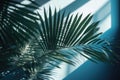 Blurred shadow from palm leaves on the light blue wall. AI generated Royalty Free Stock Photo