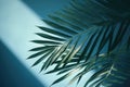 Blurred shadow from palm leaves on the light blue wall. AI generated Royalty Free Stock Photo