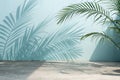 Blurred shadow from palm leaves on light blue wall Royalty Free Stock Photo