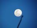 Blurred shadow of tree branch in front of full moon in the daytime. Against the blue sky background. Abstract background.