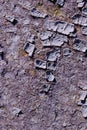 Blurred Shot Of Cracked Paint Texture. Abstract Texture Background. Cropped Shot of Painted Wall. Royalty Free Stock Photo