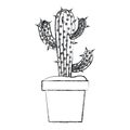 Blurred silhouette cactus of three branches in pot