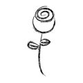 blurred sketch contour rose floral icon