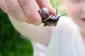 A blurred smiling unrecognizable girl holding an edible snail Fructicicola fruticum in hand, summer time Royalty Free Stock Photo