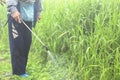 Blurred spraying weed pesticide in agriculture and growing organBlurred spraying weed pesticide in agriculture and growing organic