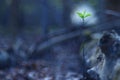 Blurred spring background Royalty Free Stock Photo