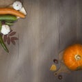 Blurred squred Fresh Vegetables on Wooden Background with Copy Space Royalty Free Stock Photo