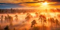 Blurred sunset forest with orange-pink gradients, soft glowing mist, and golden light filtering through tree branches Royalty Free Stock Photo