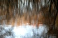 Blurred tree reflections in water Royalty Free Stock Photo