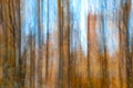 Blurred Tree Trunks At A City Park With Golden Autumn Leaves. Intentional Camera Movement ICM. Fall Fine Art Design.