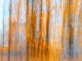 Blurred Tree Trunks At A City Park With Golden Autumn Leaves. Intentional Camera Movement ICM. Fall Fine Art Design.