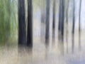 Blurred Tree Trunks At A City Park. Green Leaves. Intentional Camera Movement ICM. Moody Fine Art Design.
