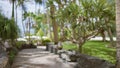 Blurred tropical resort path with lush greenery and palm trees, creating a serene and defocused background Royalty Free Stock Photo