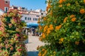 blurred urban landscape against the background of beautiful bright flowering shrubs with yellow flowers. A blurry urban