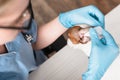 view of young veterinarian in blue Royalty Free Stock Photo