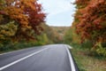 Blurred view of asphalt highway without transport near autumn forest Royalty Free Stock Photo