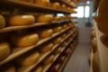 View of factory warehouse with fresh cheese heads on rack