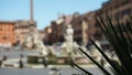 Blurred view of famous Piazza Navona with plant in focus in foreground
