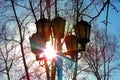 Blurred view street lamp under the blue sky and white clouds, sunlight and glare, black silhouettes of tree branches, street