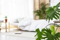 Blurred view of trendy bedroom interior, focus on monstera leaves Royalty Free Stock Photo