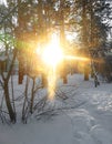 Blurred view. winter landscape frozen field at dusk of sunset and bare gnarled tree