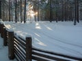 Blurred view. Winter morning. village fence and winter hamlet outskirts, snowy path, fir forest Royalty Free Stock Photo