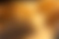 Blurred warm autumn background. Yellow, orange, brown gradient colors Royalty Free Stock Photo