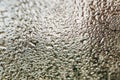 Blurred water droplets on the windscreen.. Royalty Free Stock Photo