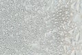 Blurred water droplets on the windscreen.. Royalty Free Stock Photo