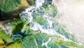 Waves of coastal water sea on rocks with green moss