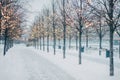 Blurred winter tree alley with falling snow and shining christmas lights bokeh. Royalty Free Stock Photo