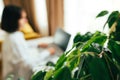 Blurred young woman using laptop computer in the modern home office interior. Freelancer working remotely Royalty Free Stock Photo