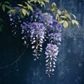 Blurred Analog Photograph Of Wisteria In Front Of Dark Blue Wall