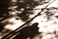 Blurry autumn city shadows and silhouettes Royalty Free Stock Photo