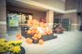 Blurry background Halloween pumpkins and flowers at supermarket entrance in Houston Royalty Free Stock Photo