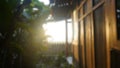 Blurry background of morning view with sun light movie flare entering between the plants and the wooden wall next to the bedroom. Royalty Free Stock Photo