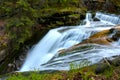 Blurry background, selective focus, a small river flows beautifully in the forest. Royalty Free Stock Photo