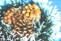 Blurry of decorative pine cones for Christmas lay on green tassel