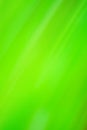 Blurry defocused dynamic abstract green background. Blurred bokeh green background with motion effect Royalty Free Stock Photo