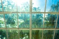 Blurry Dirty Film Coated Windows on Hot Sunny Day with Out of Focus Tree and Garden. Looking Outside from Inside of Green House