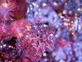 The blurry focus on the red christmas tree with the light decoration. This makes it become star shape bokeh everywhere on Royalty Free Stock Photo