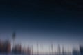 Blurry forest at sunset Royalty Free Stock Photo