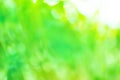 Blurry green unfocused photographic effect. Sparkling magical bright glow green  bokeh Royalty Free Stock Photo