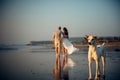 Blurry image of happy couple walking on the beach. In the foreground, a dog stands on the sand. Man and woman in an embrace are Royalty Free Stock Photo