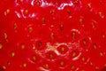 Blurry image of red strawberry texture background. Abstract food texture backdrop. Royalty Free Stock Photo