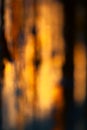 Blurry, indistinct yellow-orange background. Defocused background sunlight and shadow Royalty Free Stock Photo
